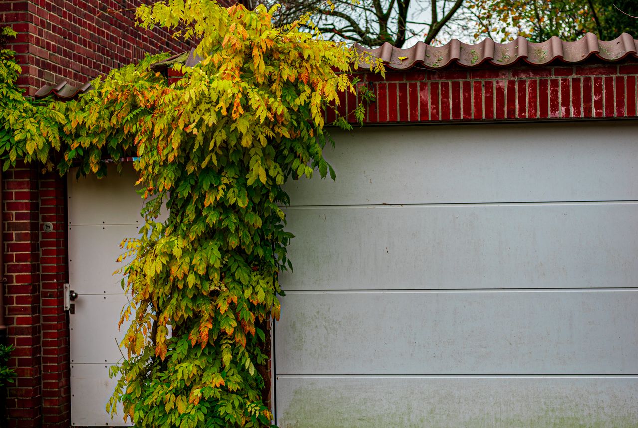 Garage door service in Cincinnati, OH